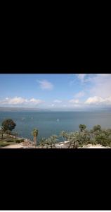 提比里亚Lake Breeze of Tiberias的享有棕榈树和海滩的海景