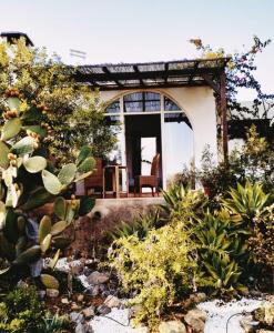 圣布拉什迪阿尔波特尔Casa Papoula的一个带门廊、椅子和植物的房子