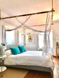 米尔芳提斯城Casa no Rio - River House的一间卧室配有一张带蓝色枕头的天蓬床