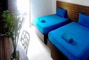 长滩岛RedDoorz at Sir G Hotel D'Mall Boracay的植物间内的两张蓝色的床