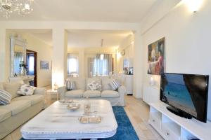 Ágios Ioánnis美丽达别墅的带沙发和电视的客厅