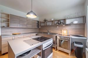 BijacovcePenzión Živa Bijacovce的厨房配有不锈钢用具和木柜