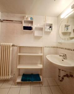 葡萄酒之路上的诺伊施塔特Wohlfühl & Wellness Oase的浴室配有盥洗盆、卫生间和盥洗盆。