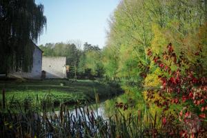 JurbiseLe domaine du château blanc à 10 minutes de Paira Daiza的享有河流美景,拥有房屋和树木