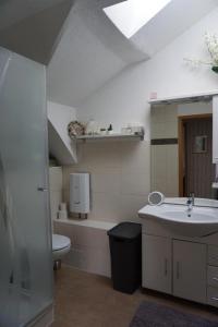 WinsenFerienwohnungen Bauernhof Beckmann的一间带水槽和卫生间的浴室