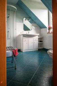 卢布林Cottage house Lublin的一间带水槽、淋浴和卫生间的浴室