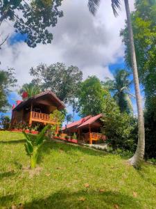 班泰Family Resort的棕榈树草山上的房屋