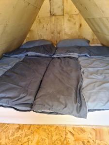 MarinciKopićland的帐篷内的一张床位,配有两个枕头