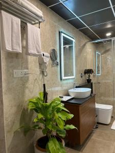 班加罗尔ROYAL ACE LUXUR的一间带水槽、卫生间和植物的浴室