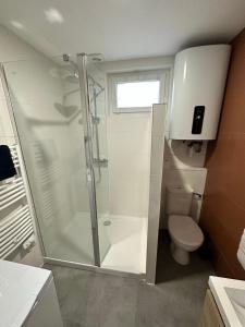 BaugéAppartement T3 cosy et moderne的带淋浴和卫生间的浴室