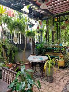阿罗士打阿特维拉度假村的一个带桌子和一束植物的庭院