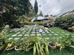 丹那拉打Big Dreams Garden Stay的天井配有桌子、雨伞和植物