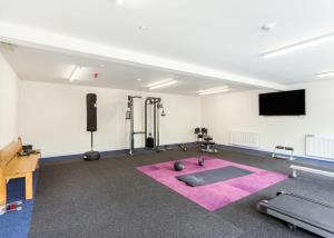 奥古斯都堡Loch Ness Highland Resort Pods的一间设有粉红色地毯的健身房的客房