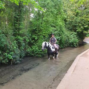 劳斯Wheelwright's Rest, Legbourne, Louth的骑马穿过河流的人