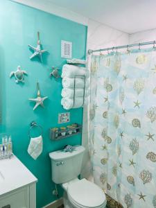 坦帕Beautiful and comfortable rom apt # 2的一间带卫生间和淋浴帘的浴室