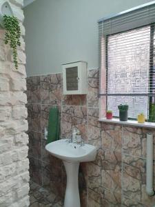 波罗瓜尼Tree Orchid的一间带水槽和石墙的浴室