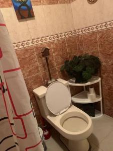 洛哈Mini suite的浴室配有白色卫生间和植物