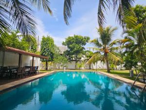 EttukalaGreen Village Negombo的一座拥有蓝色海水和棕榈树的游泳池