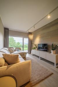 希维拉杜夫-兹德鲁伊Apartament Świeradowiec MountainAparts的带沙发和电视的大型客厅