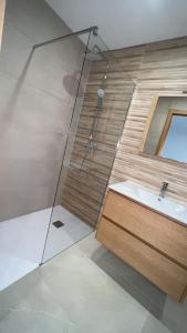 艾姆布里亚布拉瓦Maison Bella的一间带水槽和淋浴的浴室