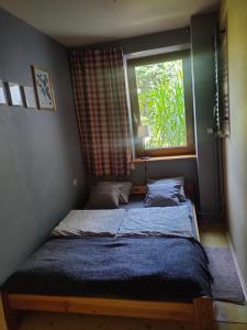 弗罗茨瓦夫弗罗茨瓦夫马洛夫公寓的一间卧室设有两张床和窗户。