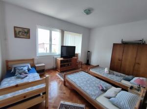 泽尼察Trosoban stan u Zenici的客厅配有三张床和一台平面电视
