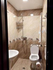 安布罗劳里Hotel Nordmann,Racha的带淋浴、卫生间和盥洗盆的浴室