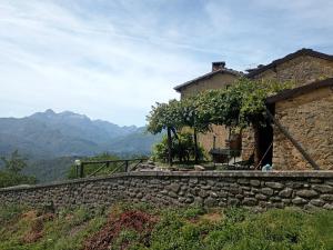 SillicoLa casa del pozzo的山墙旁的石墙