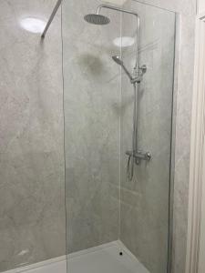 Llansantffraid-ym-MechainThe Lion Hotel的淋浴间设有玻璃淋浴间门