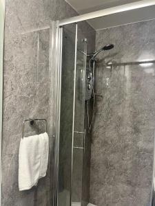 Llansantffraid-ym-MechainThe Lion Hotel的带淋浴的浴室和玻璃门
