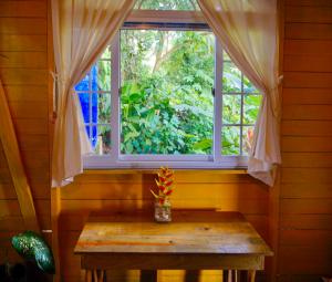 巴斯蒂门多斯True Nature Jungle House的窗户,房间前面有桌子