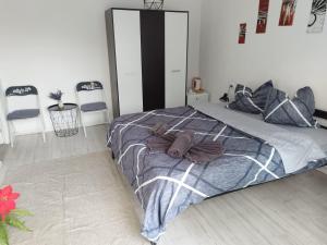 克卢日-纳波卡Vila ANA的一间卧室配有一张床和两把椅子