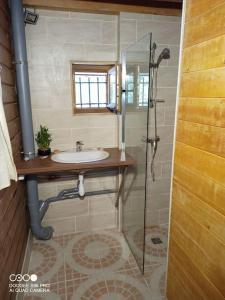 RoguesLa Laouze - Small wooden house Eco-Low-tech的一间带水槽和淋浴的浴室
