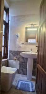 培拉特Hotel Gorica - UNESCO quarter的一间带水槽、卫生间和镜子的浴室