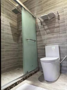 图鲁斯杜Aasna Inn的一间带卫生间和玻璃淋浴间的浴室