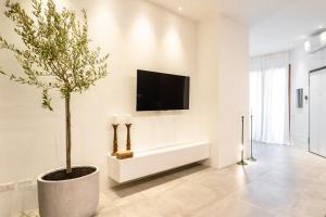 西维尔诺瓦·马尔凯Nest House & Relax的一间带电视和盆栽树的客厅