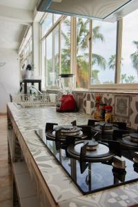 圣何塞德尔卡沃Hotel Casa Ceci Inn的厨房配有带搅拌机的台面