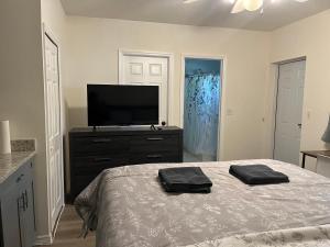 布兰登ZenHomes in Brandon near Tampa Valrico Seffner的一间卧室配有一张床和一台平面电视