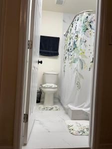 布兰登ZenHomes in Brandon near Tampa Valrico Seffner的一间带卫生间和淋浴帘的浴室