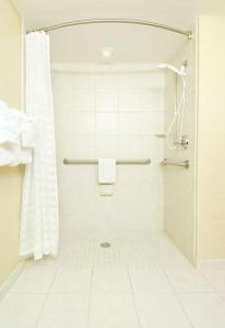 沙伦维尔DoubleTree Suites by Hilton Hotel Cincinnati - Blue Ash的带淋浴和浴帘的浴室