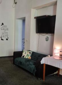 克拉科夫Green Cat Rooms的带沙发和平面电视的客厅