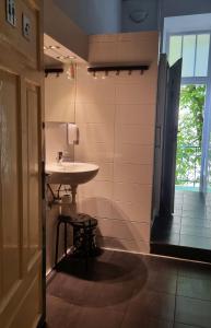 克拉科夫Green Cat Rooms的一间带水槽和窗户的浴室
