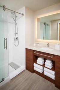 米西索加Delta Hotels by Marriott Toronto Mississauga的一间带水槽和淋浴的浴室
