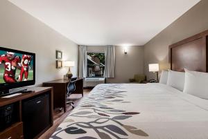 约克镇Red Roof Inn Newport News - Yorktown的配有一张床和一台平面电视的酒店客房
