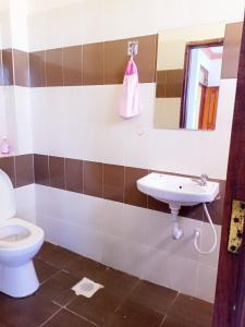 姆特瓦帕Bliss homestay apartment with swimming pool的一间带卫生间和水槽的浴室