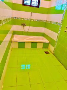 拉合尔Infinity Hotel的带浴缸的绿色和白色浴室