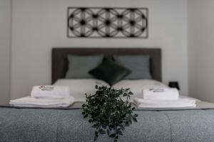 什恰夫尼察Apartamenty Kwiatowa w Szczawnicy BEZPŁATNY PARKING的床上有两条毛巾,上面有植物