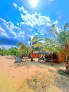 波图维勒Ganesh Gate的海滩上一棵棕榈树的房子