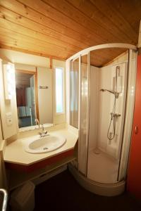 阿斯顿帕熊度假屋的一间带水槽和淋浴的浴室