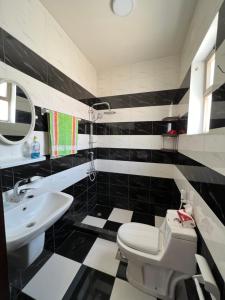 瓦迪穆萨Petra luxurious view house的黑白浴室设有卫生间和水槽
